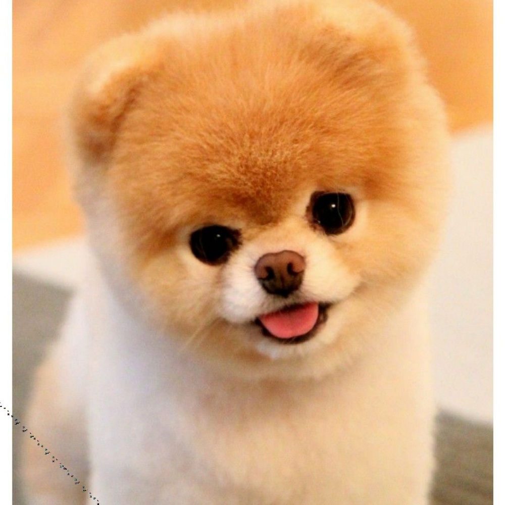 Meet your Posher, Nevaeh